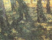 Tree Trunks with Ivy (nn04) Vincent Van Gogh